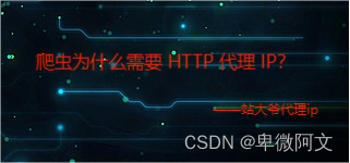 爬虫为什么需要 HTTP 代理 IP？