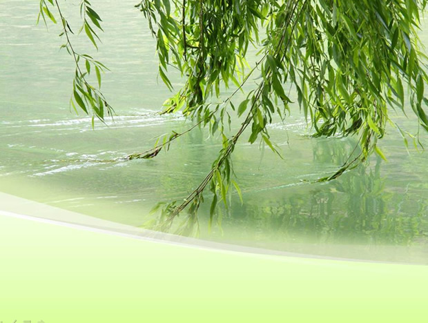垂柳拂过流淌的水——春天自然PowerPoint幻灯片模板