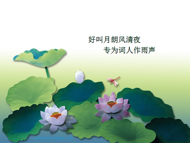 荷塘蜻蜓——中国风PowerPoint幻灯片模板