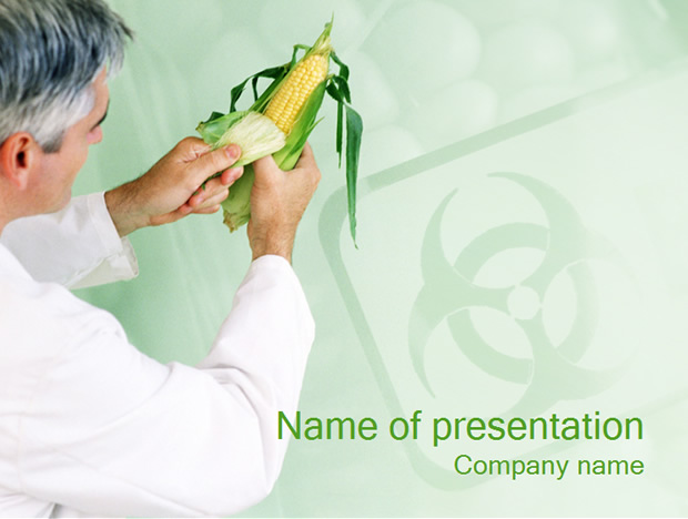 玉米种子科研PowerPoint幻灯片模板